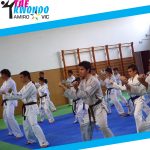 Taekwondo Amiro - descomptes U-Vals UVic