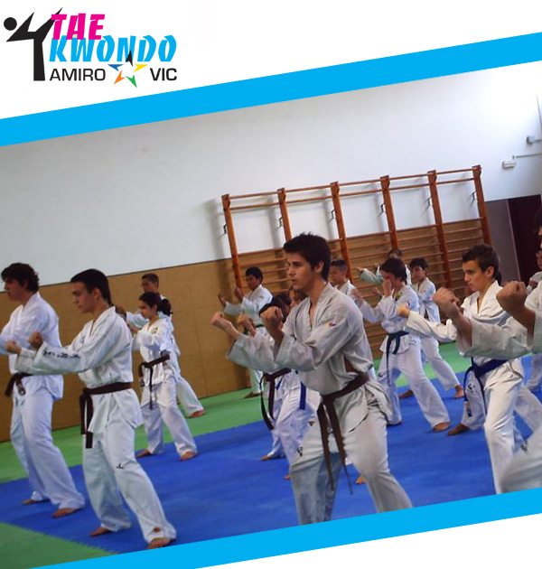 Taekwondo Amiro - descomptes U-Vals UVic